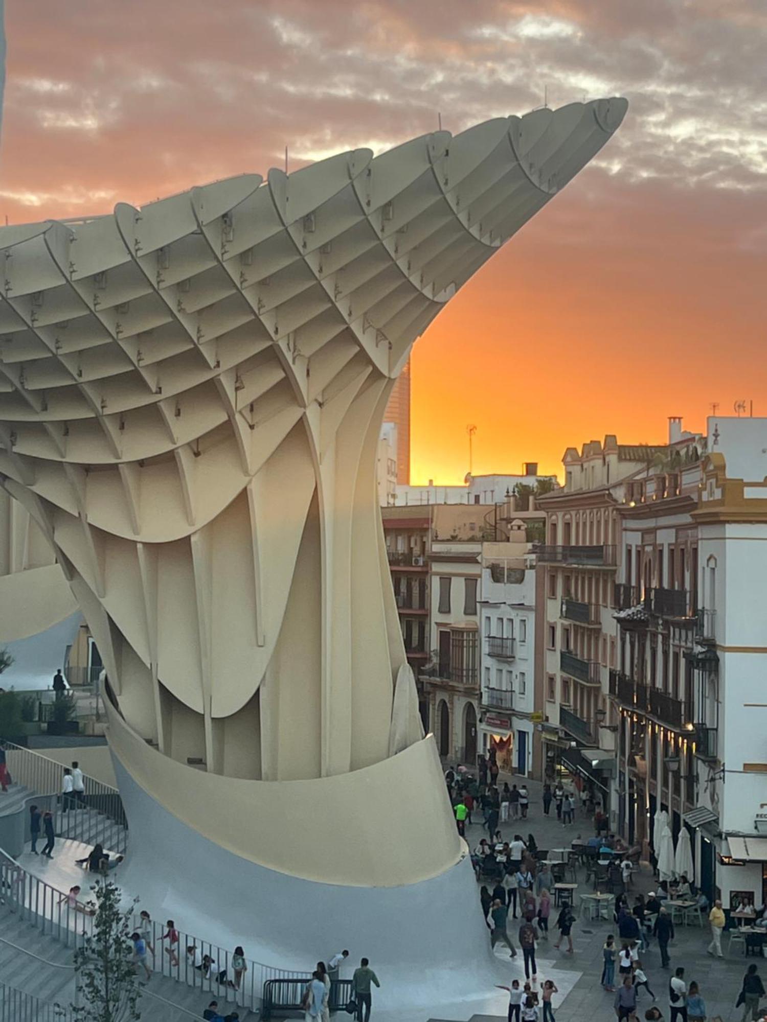 Apartament Calma Places - San Eloy 20